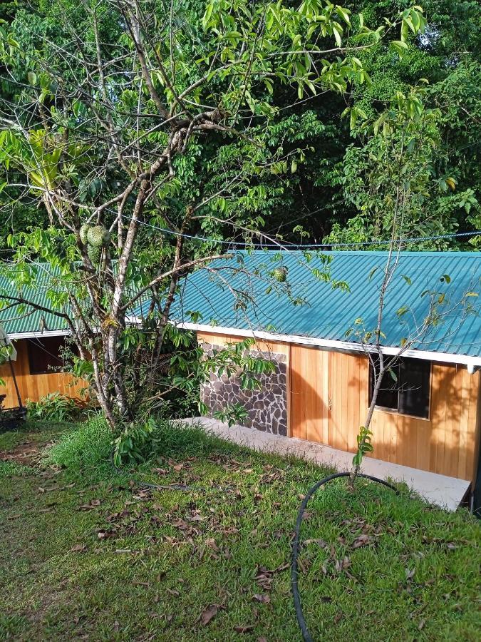 Cabanas Bajo Bosque Drake Drake Bay Luaran gambar