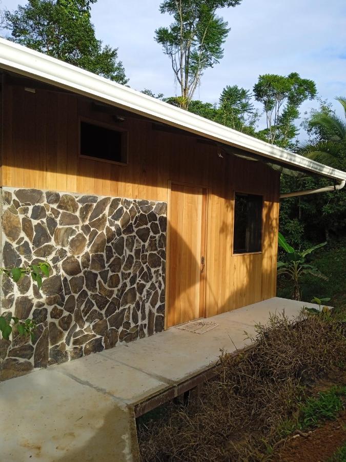 Cabanas Bajo Bosque Drake Drake Bay Luaran gambar