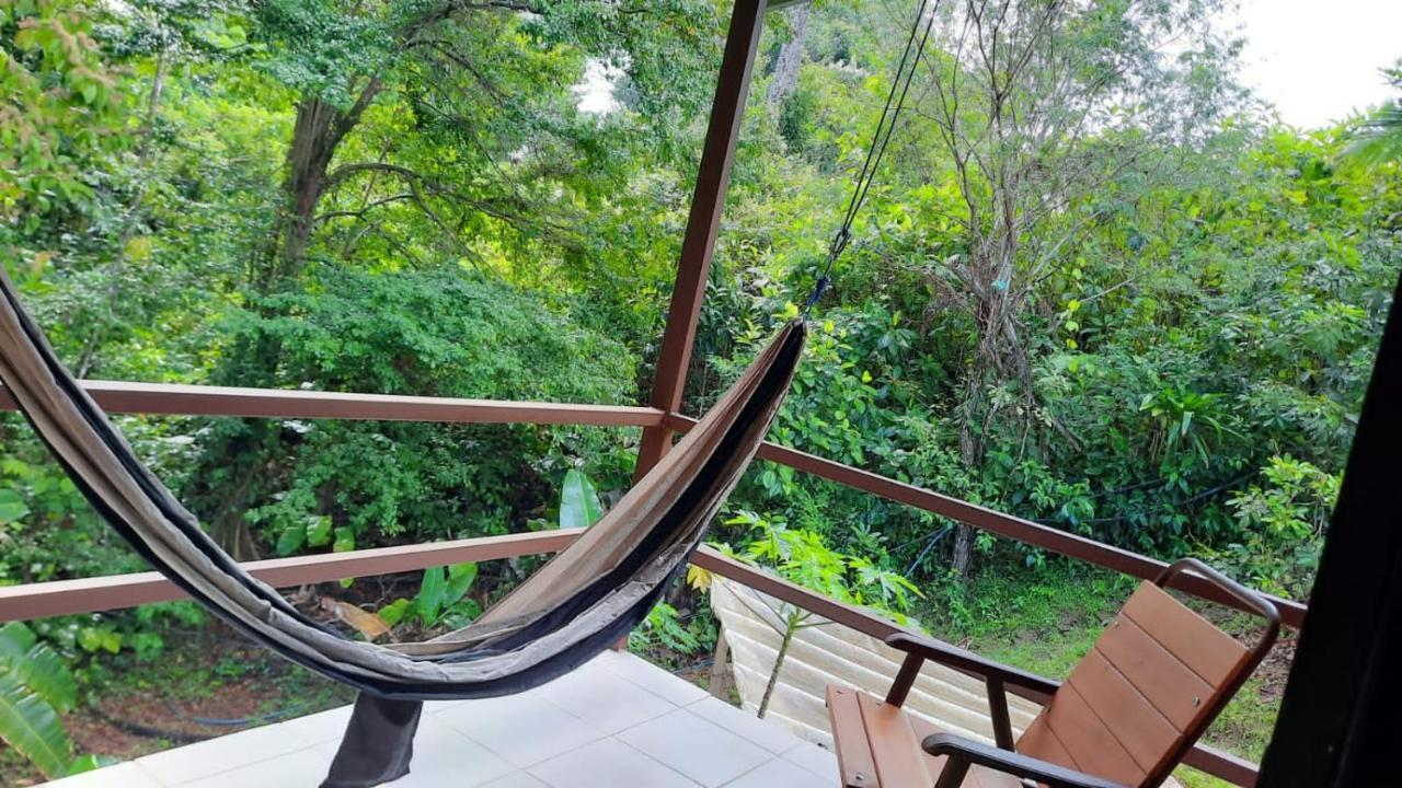 Cabanas Bajo Bosque Drake Drake Bay Luaran gambar