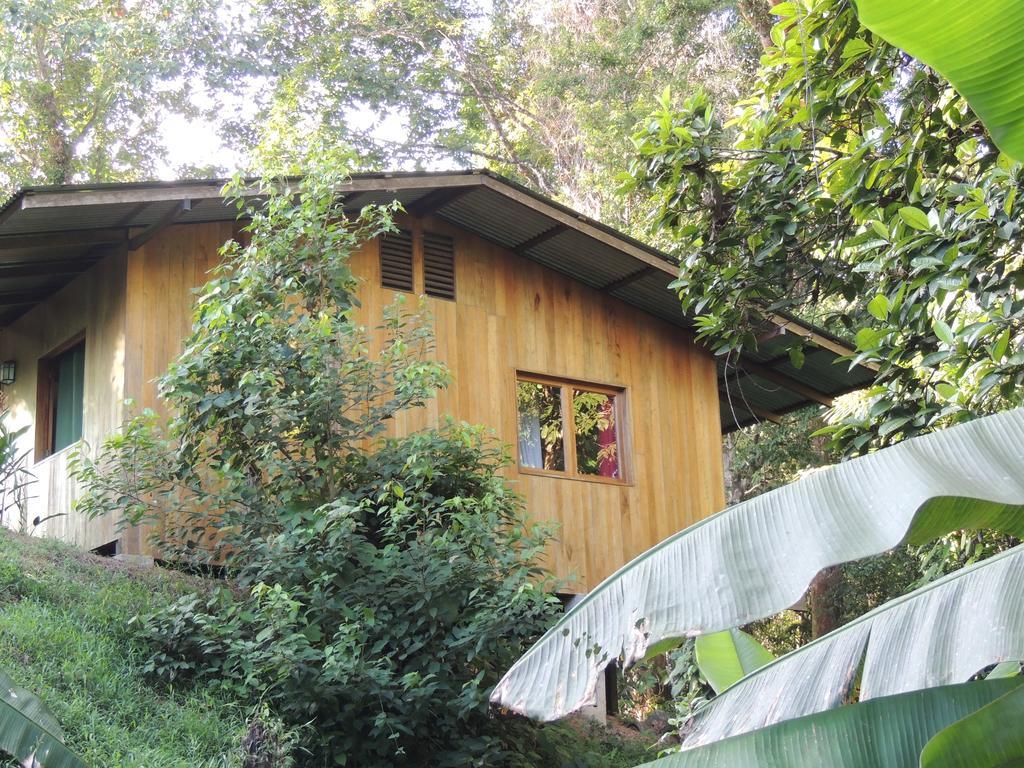 Cabanas Bajo Bosque Drake Drake Bay Luaran gambar
