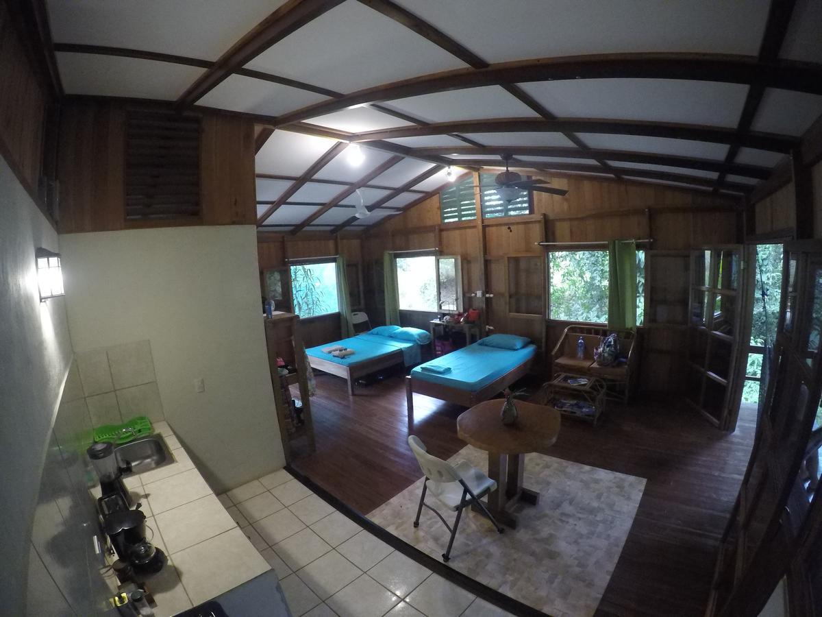 Cabanas Bajo Bosque Drake Drake Bay Luaran gambar