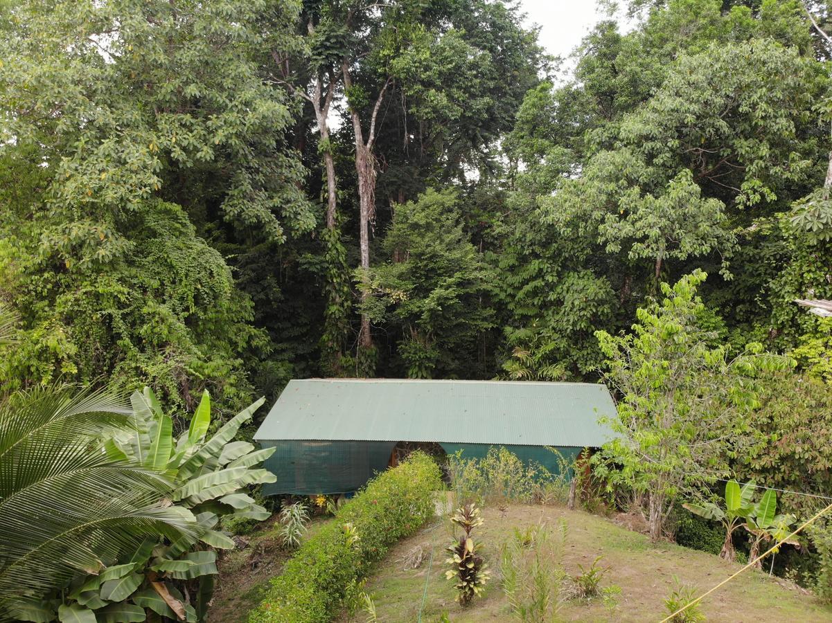 Cabanas Bajo Bosque Drake Drake Bay Luaran gambar